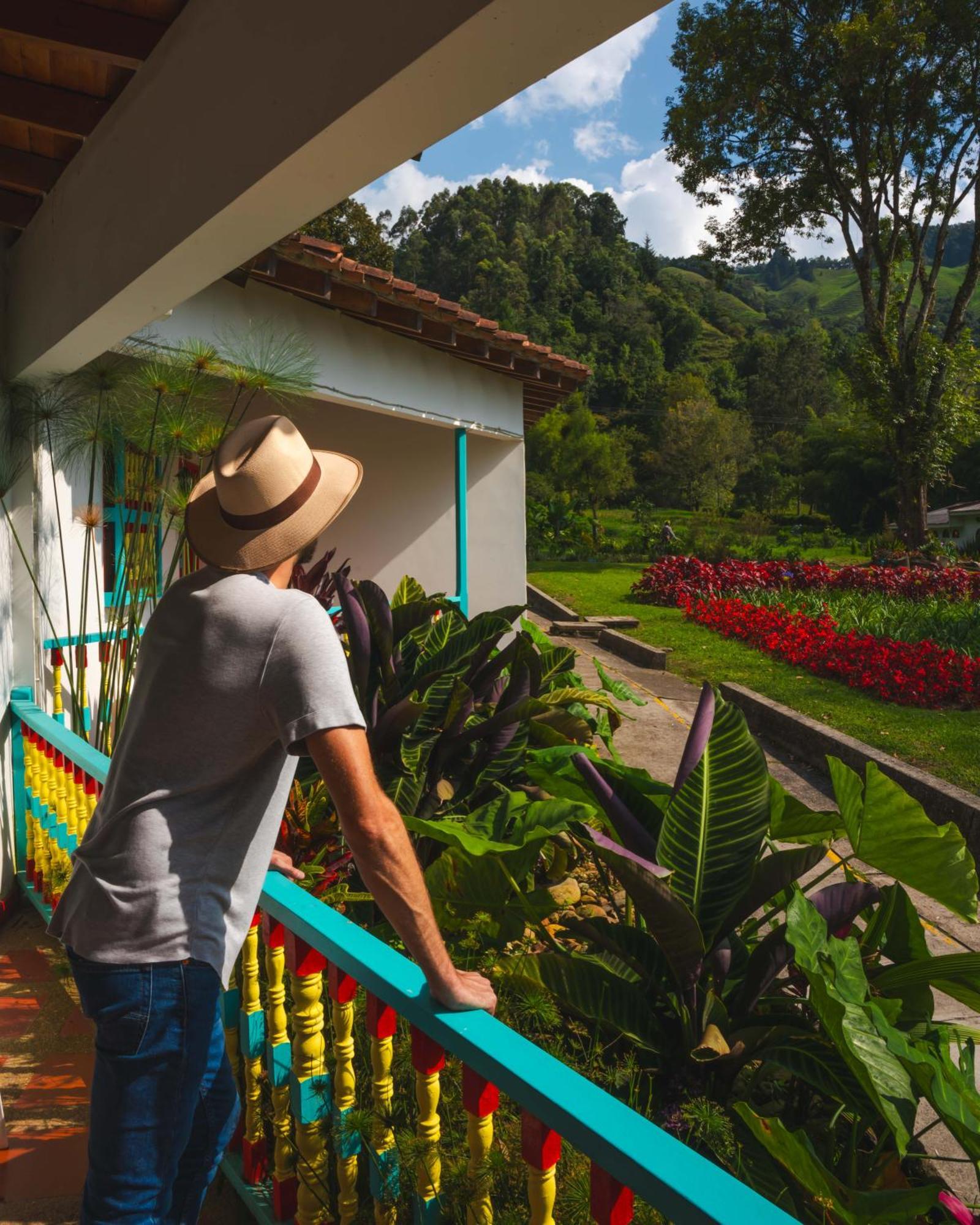 Dreamer Cocora Salento Exteriör bild